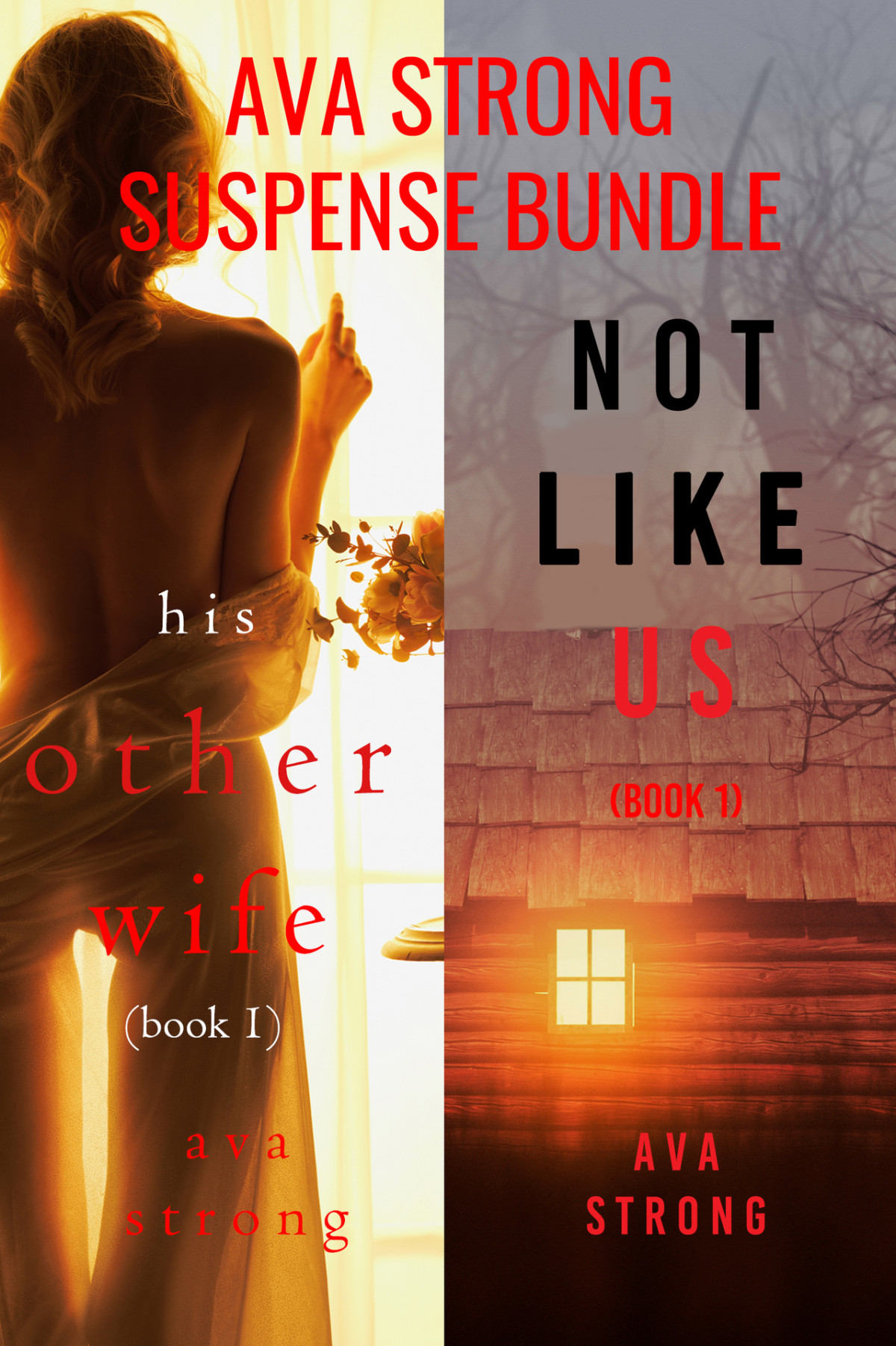 An Fbi Psychological Suspense Bundle His Other Wife And Not Like Us Strong