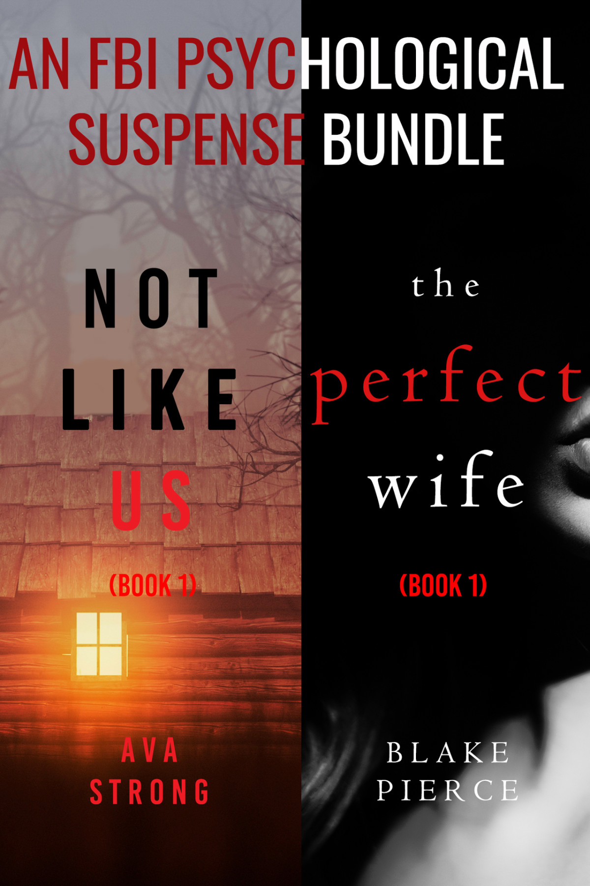 An Fbi Psychological Suspense Bundle Not Like Us And The Perfect Wife Pierce