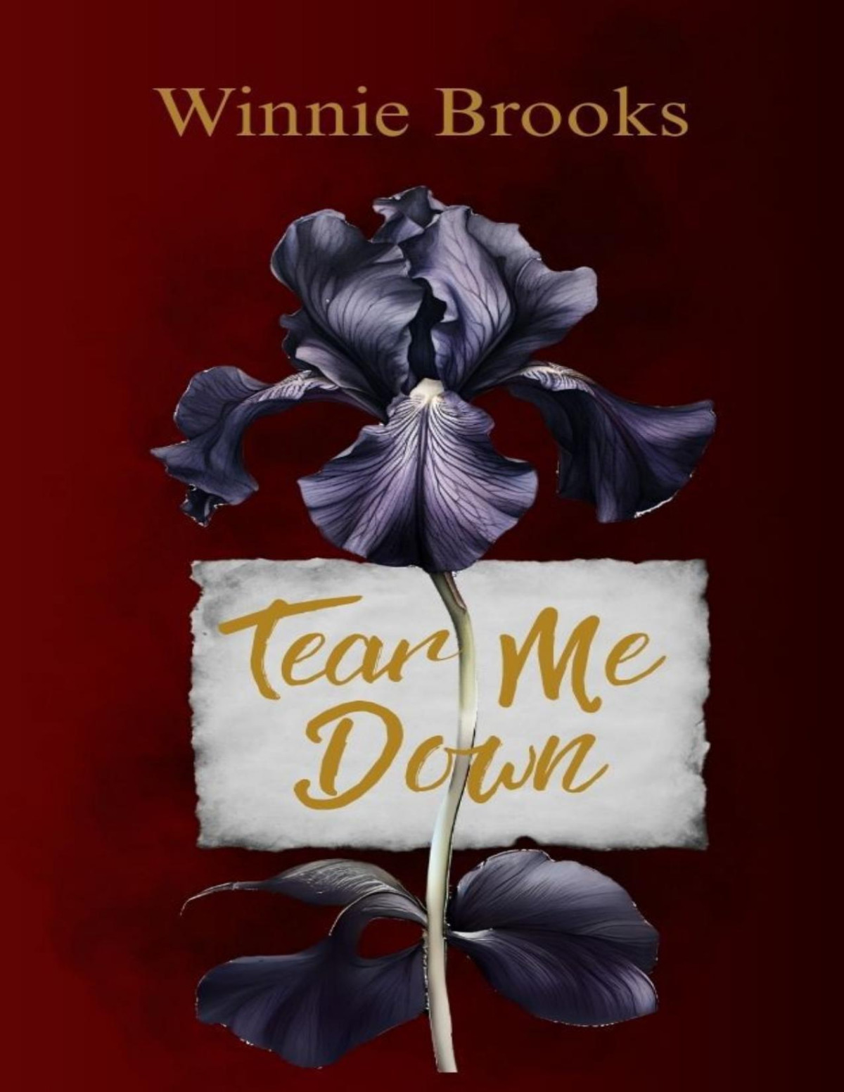 Tear Me Down Book 2 Of The Descent To Darkness Trilogy Winnie Brooks