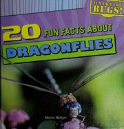 20 Fun Facts About Dragonflies Nelson Maria