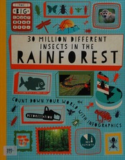 30 Million Different Insects In The Rainforest Rockett Paul Author