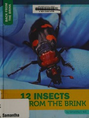 12 Insects Back From The Brink Bell Samantha Author