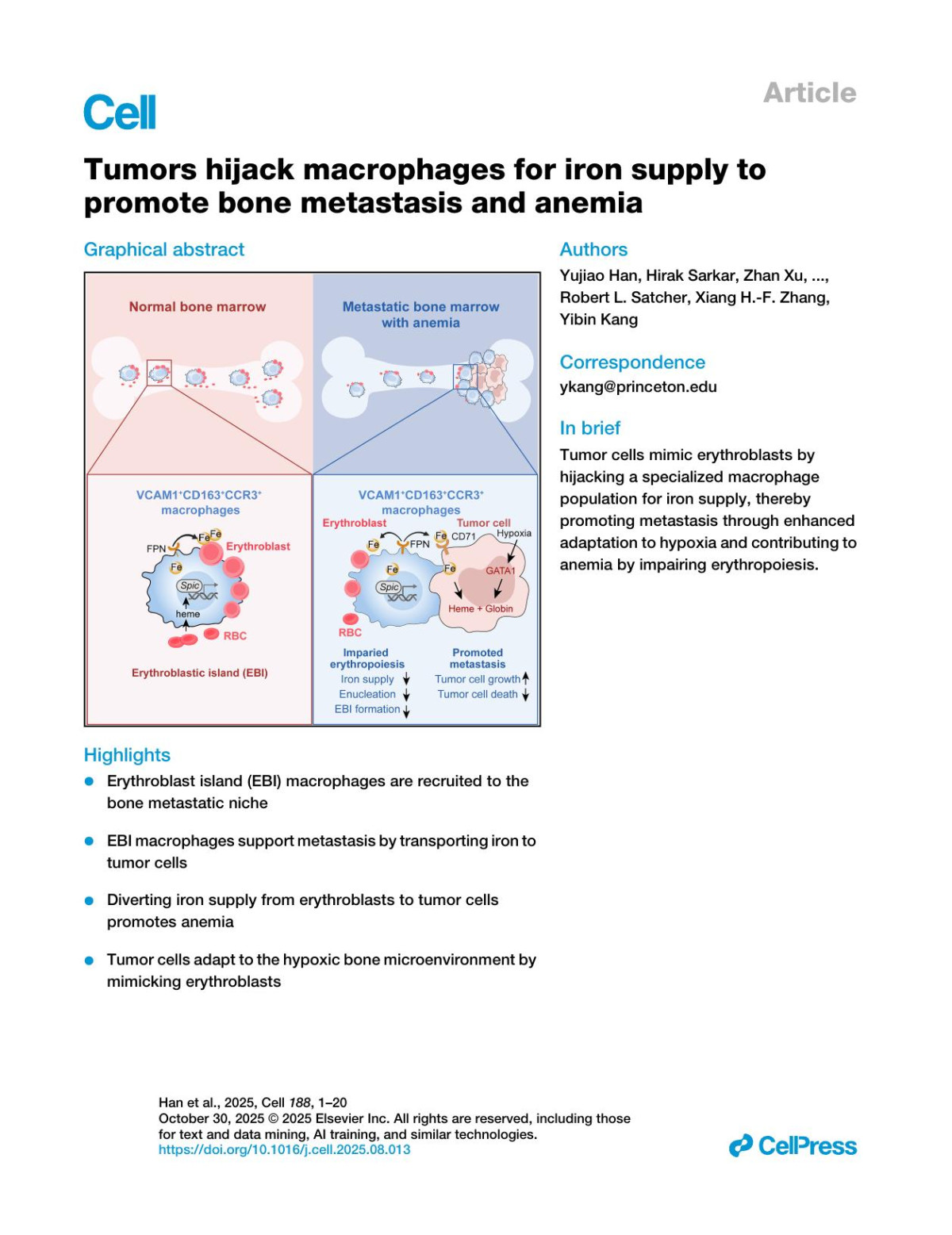 Tumors Hijack Macrophages For Iron Supply To Promote Bone Metastasis And Anemia Yujiao Han Hirak Sarkar Zhan Xu Sereno Lopezdarwin Yong Wei Xiang Hang Fengshuo Liu Kimberley Tran Wei Wang Jennifer M Miller Christina J Decoste Dylan S Blohm Robert L Satcher Xiang Hf Zhang Yibin Kang