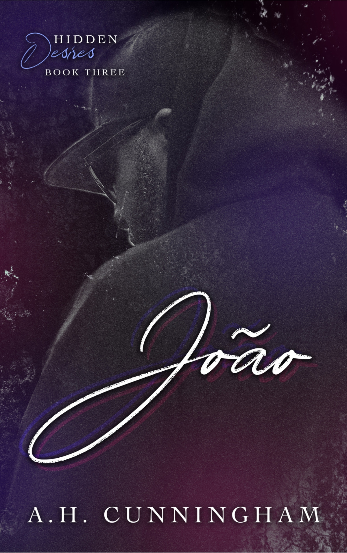 Hidden Desires 3 João A H Cunningham