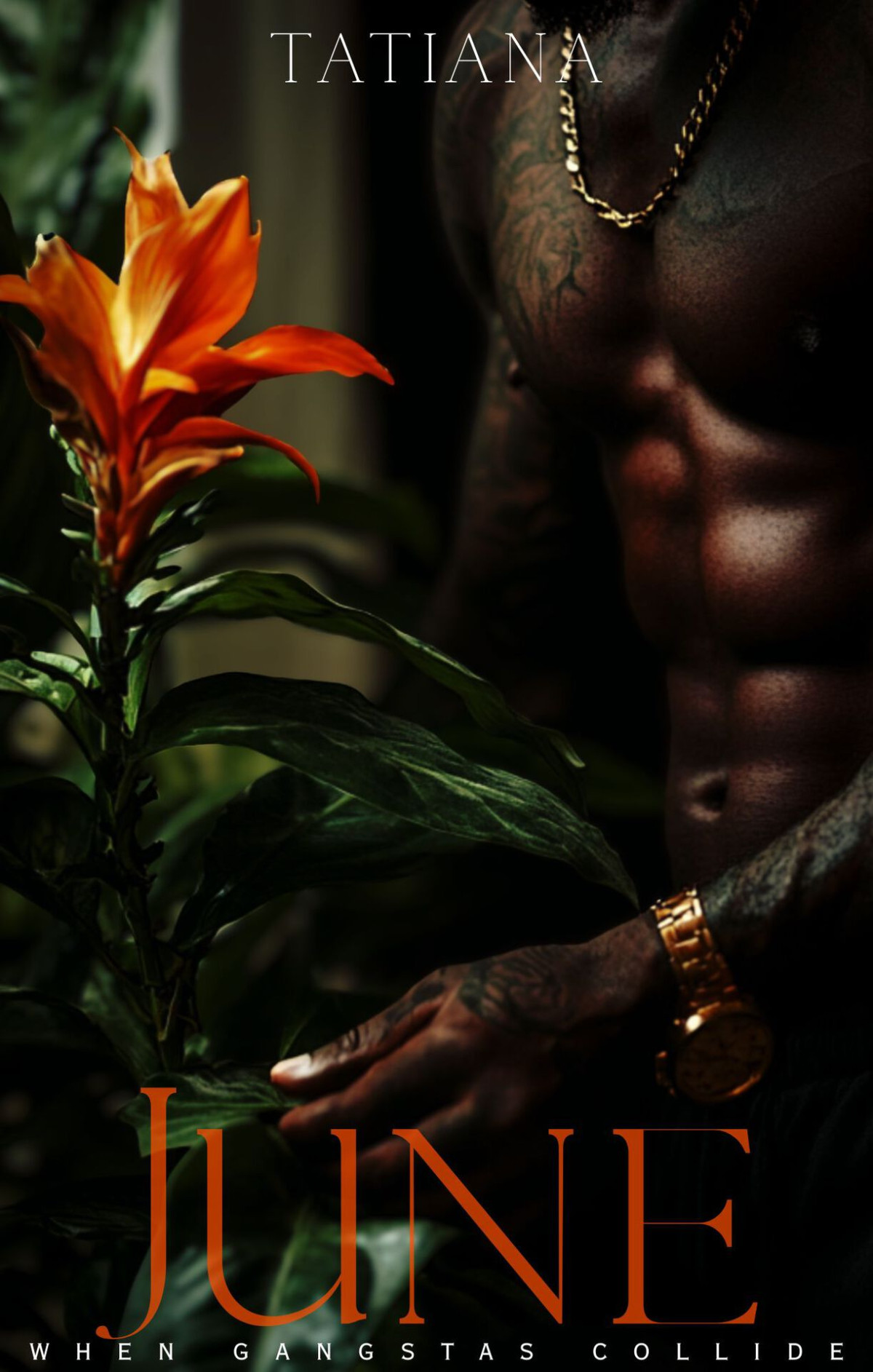 June When Gangstas Collide Tatiana Timmons