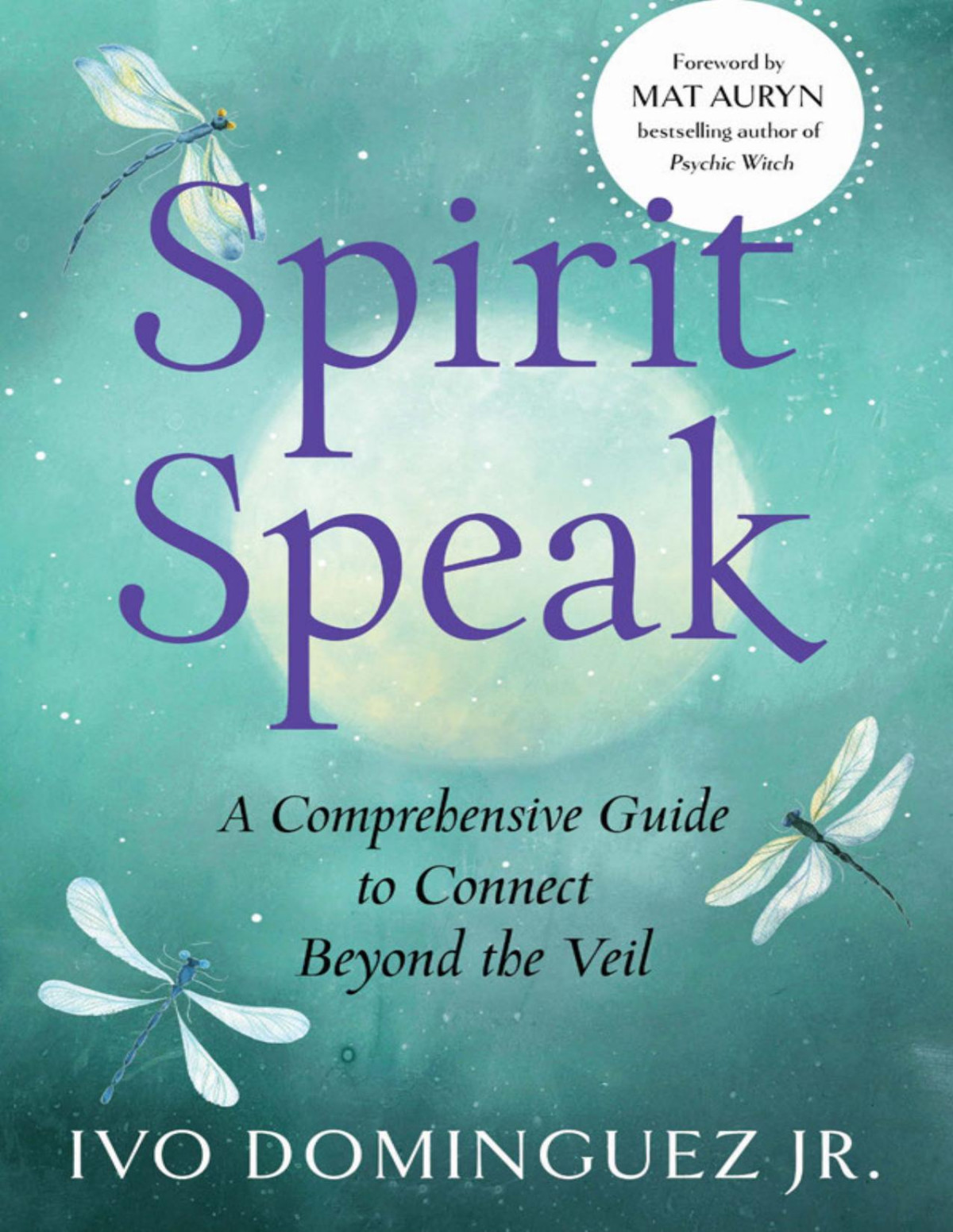 Spirit Speak A Comprehensive Guide To Connect Beyond The Veil Ivo Dominguez Jr