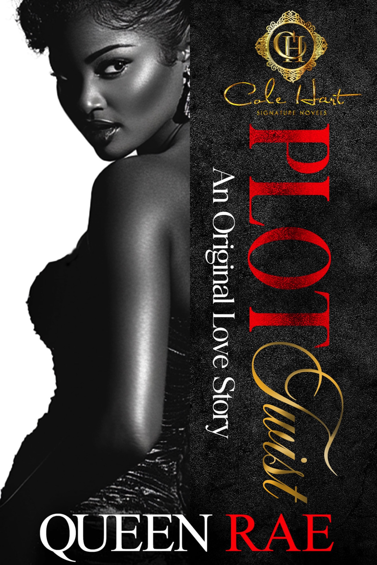 Plot Twist An Original Love Story An African American Romance Rae