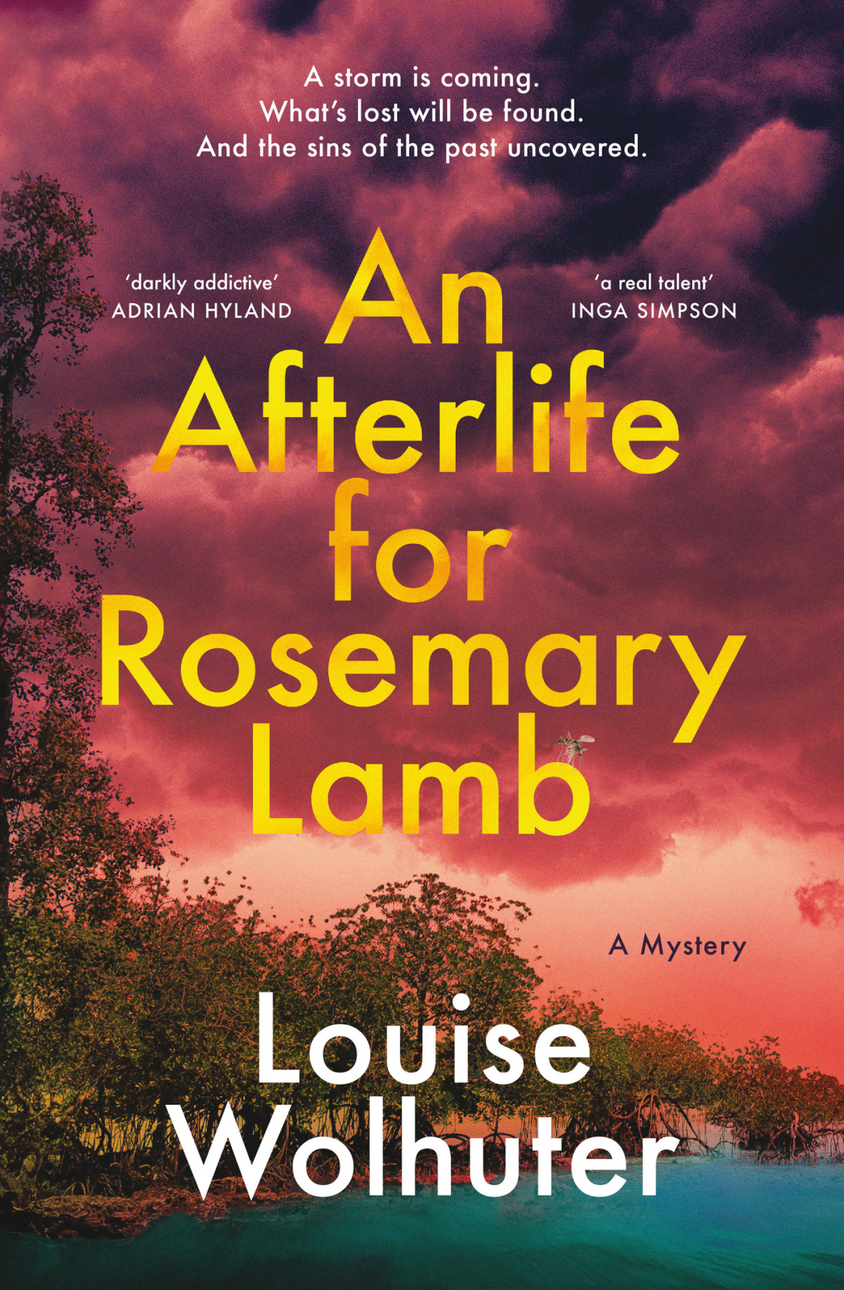 An Afterlife For Rosemary Lamb Louise Wolhuter