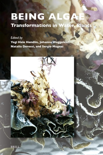 Being Algae Transformations In Water Plants 1st Edition Yogi Hale Hendlin