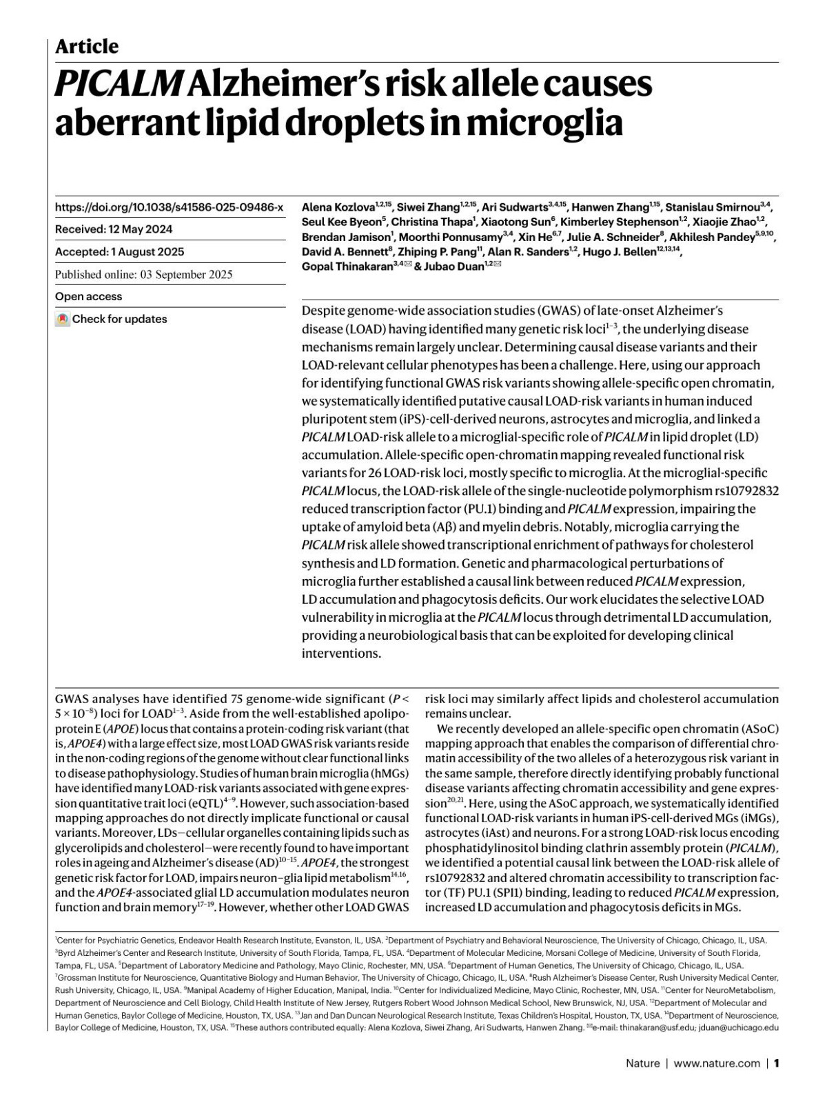 Picalm Alzheimers Risk Allele Causes Aberrant Lipid Droplets In Microglia Alena Kozlova Siwei Zhang Ari Sudwarts Hanwen Zhang Stanislau Smirnou Seul Kee Byeon Christina Thapa Xiaotong Sun Kimberley Stephenson Xiaojie Zhao Brendan Jamison Moorthi Ponnusamy Xin He Julie A Schneider Akhilesh Pandey