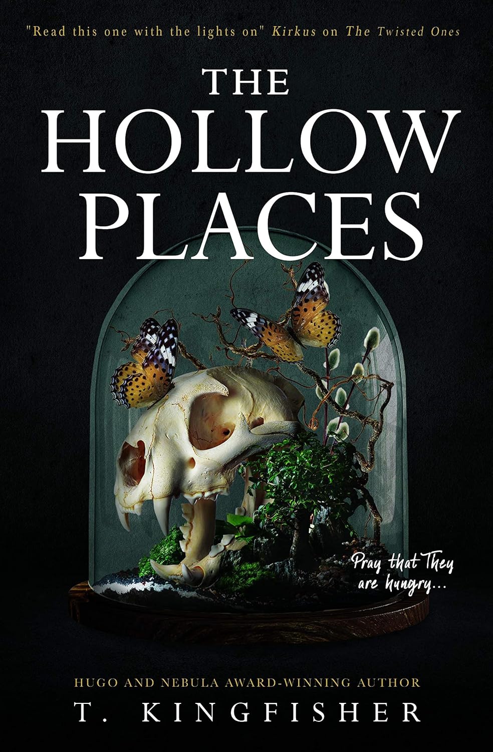 The Hollow Places A Novel T Kingfisher
