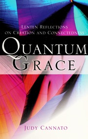 Quantum Grace Lenten Reflections On Creation And Connectedness Cannato