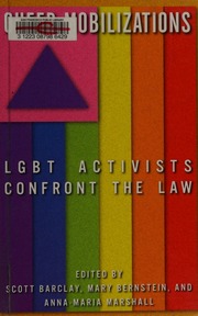 Queer Mobilizations Lgbt Activists Confront The Law Barclay