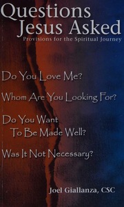 Questions Jesus Asked Provisions For The Spiritual Journey Giallanza