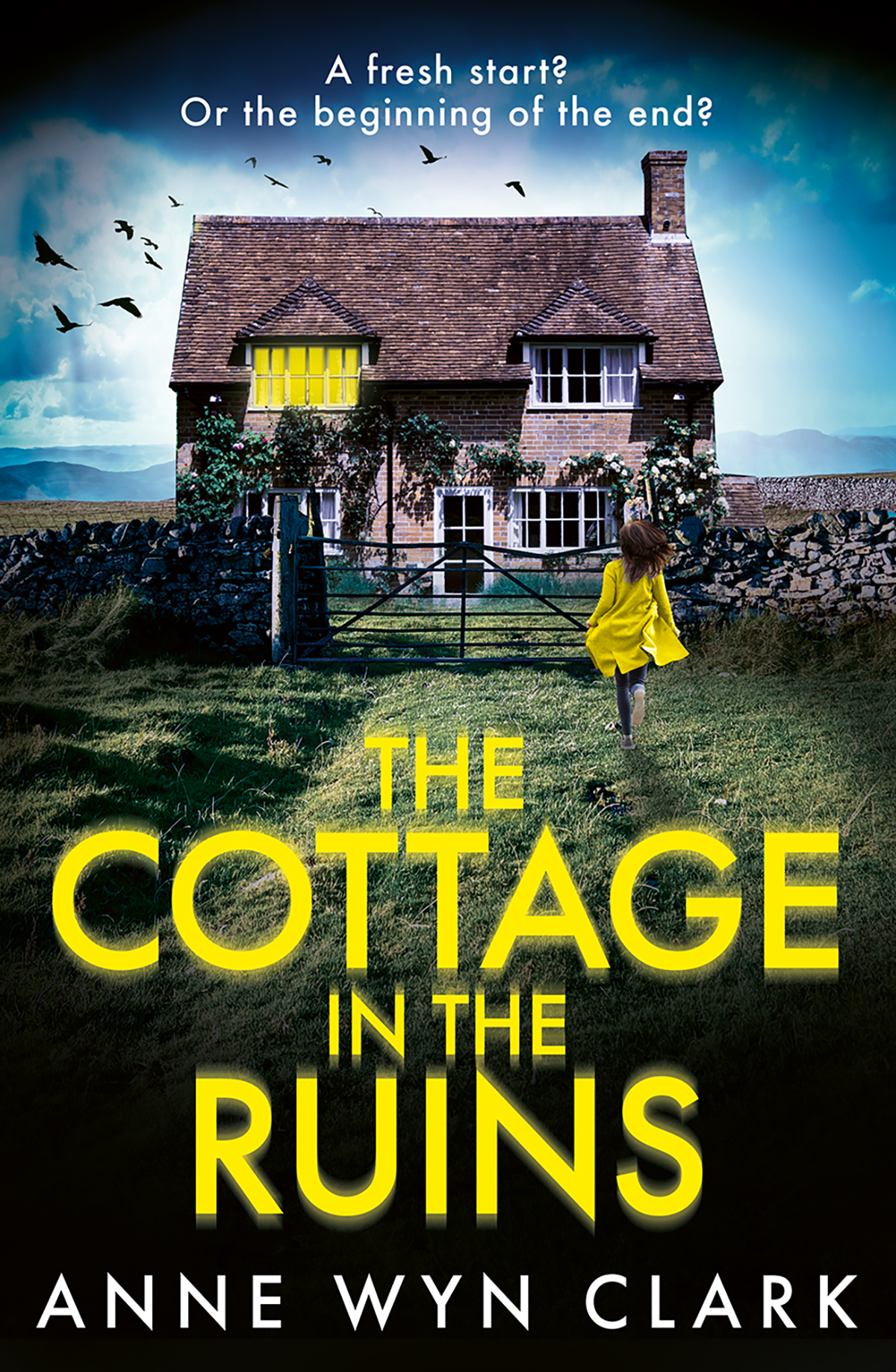 The Cottage In The Ruins Anne Wyn Clark