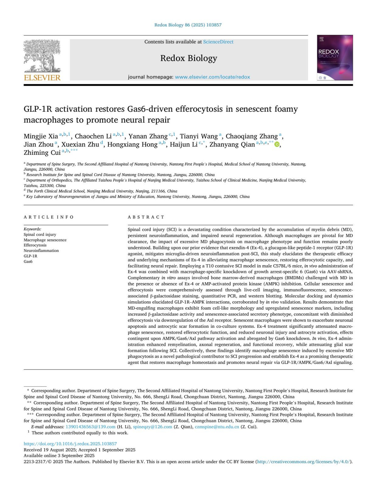 Glp1r Activation Restores Gas6driven Efferocytosis In Senescent Foamy Macrophages To Promote Neural Repair Mingjie Xia