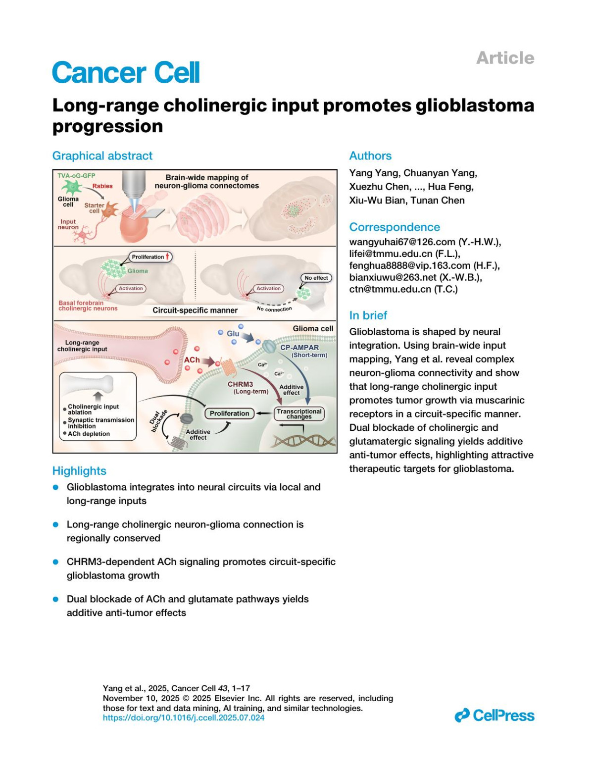 Longrange Cholinergic Input Promotes Glioblastoma Progression Yang Yang Chuanyan Yang Xuezhu Chen Yibin Jiang Xuejiao Lei Kang Ma Yulian Quan Tianran Li Chenfu Guo Yijing Meng Lin Kang Xinyu Zhang Long Jin Jiafeng Huang Ning Mu Zexuan Yan Qinghua Ma Shuai Wang Yanxia Wang