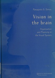 Vision In The Brain 1 Edition Simos Panagiotis G 1967