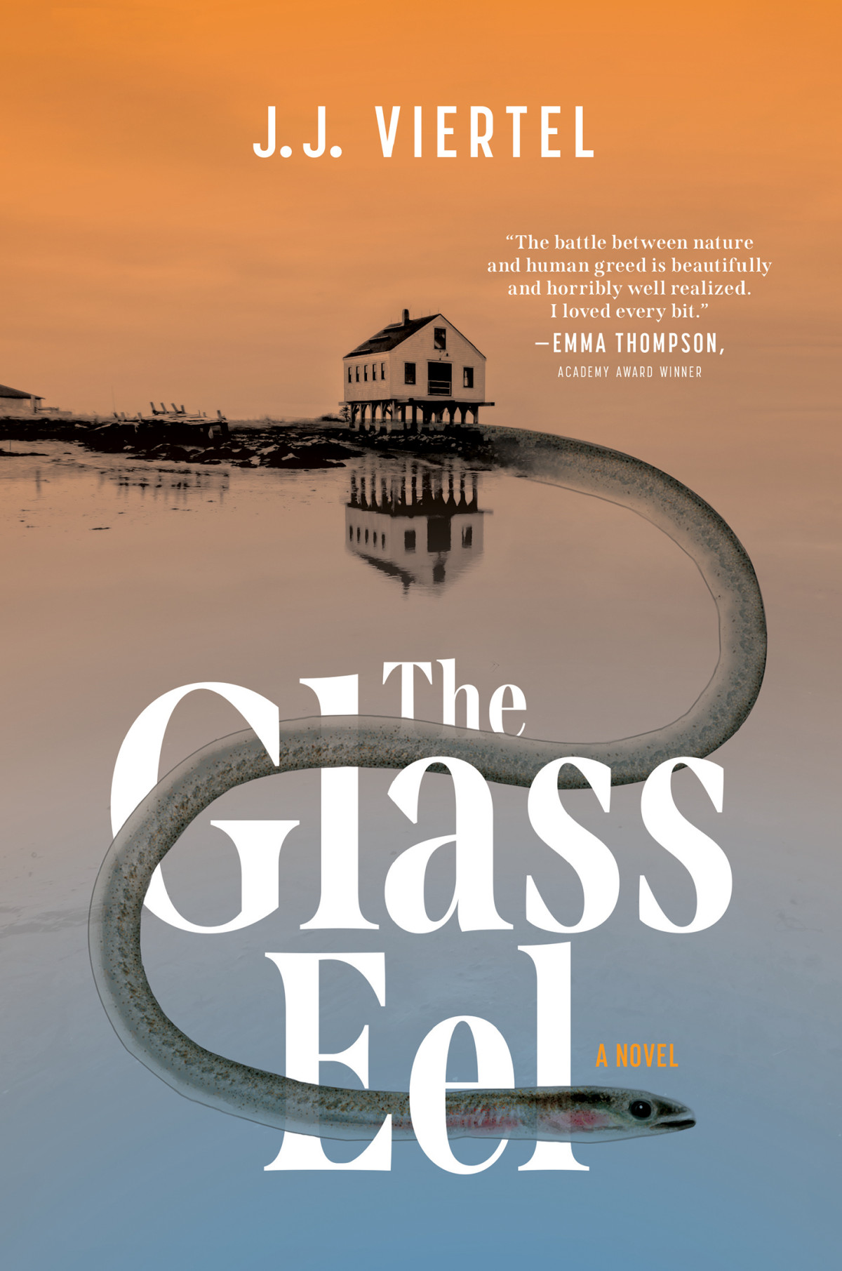 The Glass Eel A Novel J J Viertel