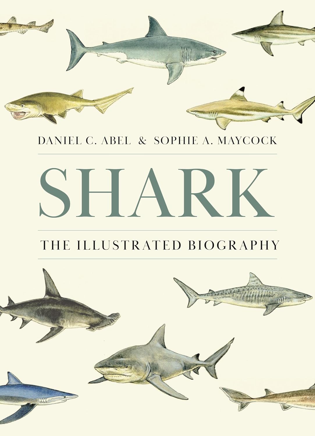 Shark The Illustrated Biography 1st Edition Daniel Abel Sophie A Maycock