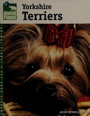 Yorkshire Terriers Bedwellwilson Wendy Animal Planet Television Network