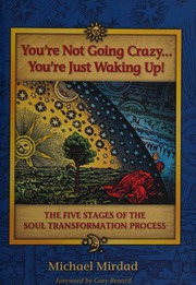 Youre Not Going Crazy Youre Just Waking Up The Five Stages Of The Soul Transformation Process Mirdad
