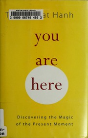 You Are Here Discovering The Magic Of The Present Moment 1st Ed Nhat Hanh