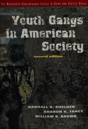 Youth Gangs In American Society 2nd Ed Shelden Randall G 1943
