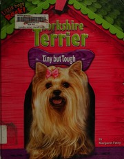 Yorkshire Terrier Tiny But Tough Fetty Margaret