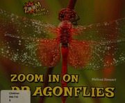 Zoom In On Dragonflies Stewart Melissa