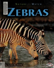 Zebras Stone Lynn M