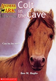 Colt In The Cave Baglio Ben M Baum Ann Illustrator