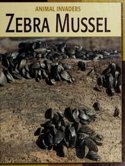 Zebra Mussel Gray Susan Heinrichs