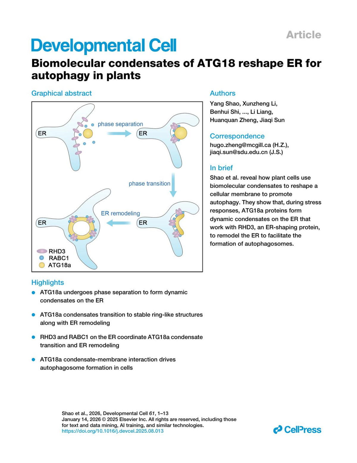 Biomolecular Condensates Of Atg18 Reshape Er Forautophagy In Plants Yang Shao Xunzheng Li Benhui Shi Songyang Wang Zisheng Luo Yanqun Xu Baolei Li Shuqing Feng Li Liang Huanquan Zheng Jiaqi Sun