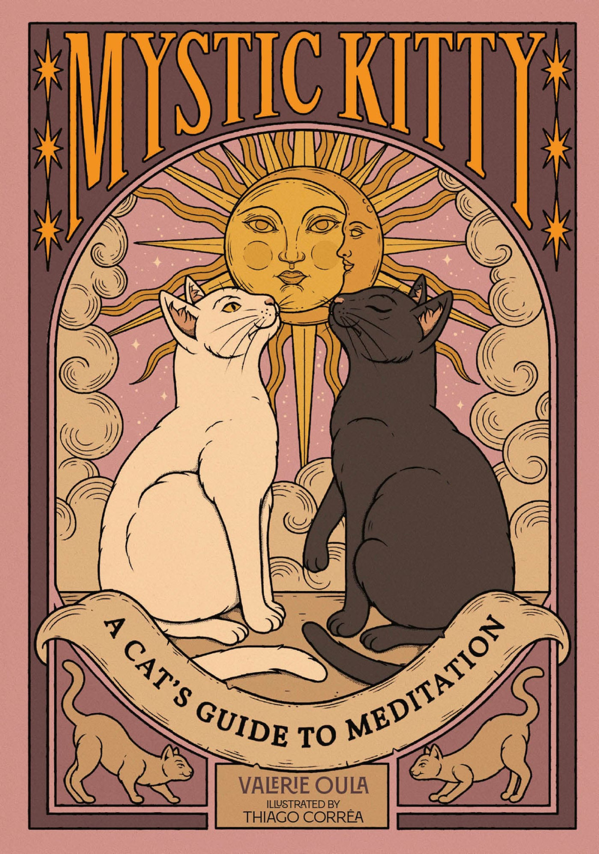 Mystic Kitty A Cats Guide To Meditation 1st Edition Valerie Oula