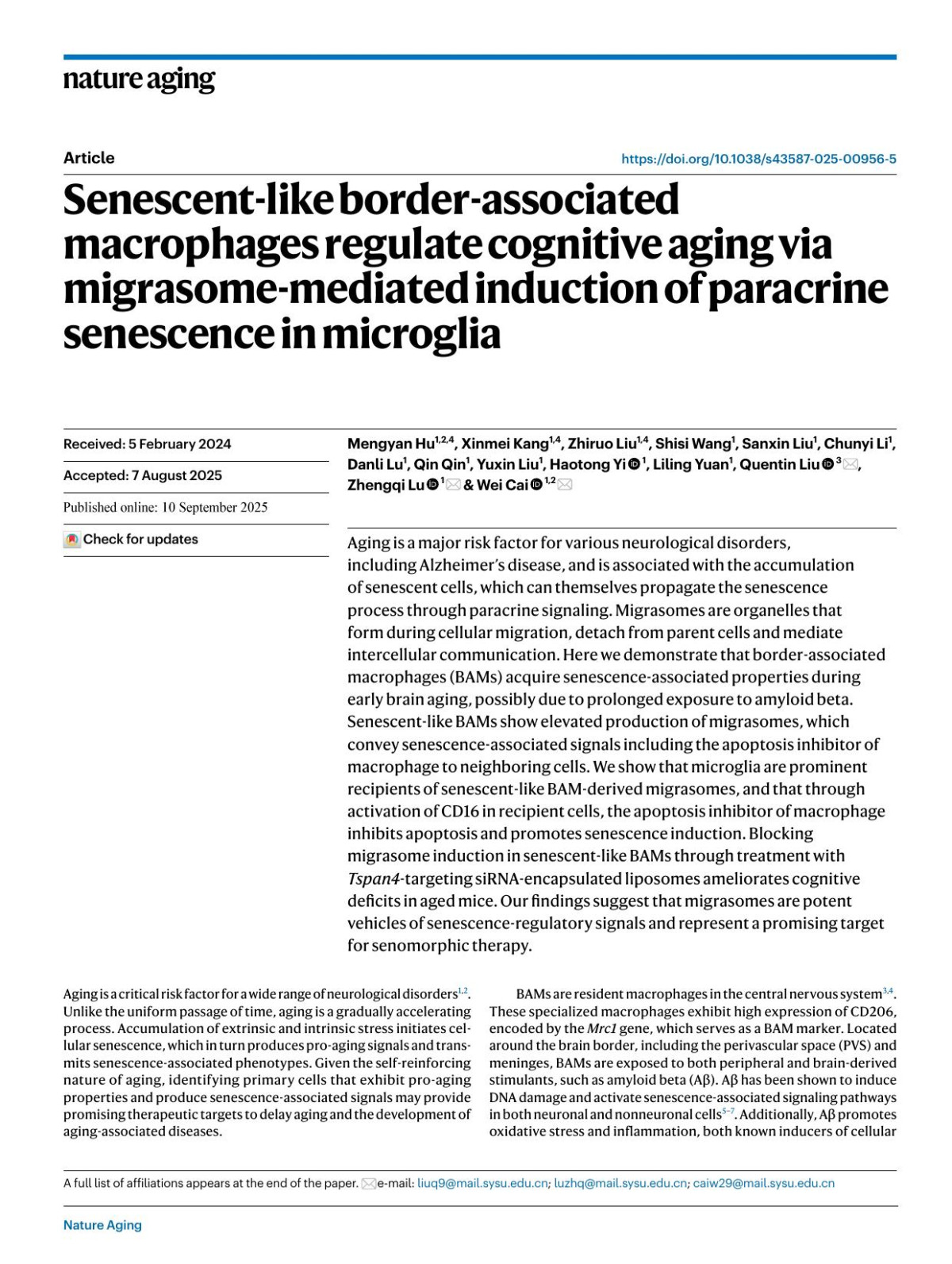 Senescentlike Borderassociated Macrophages Regulate Cognitive Aging Via Migrasomemediated Induction Of Paracrine Senescence In Microglia Mengyan Hu Xinmei Kang Zhiruo Liu Shisi Wang Sanxin Liu Chunyi Li Danli Lu Qin Qin Yuxin Liu Haotong Yi Liling Yuan Quentin Liu Zhengqi Lu Wei Cai