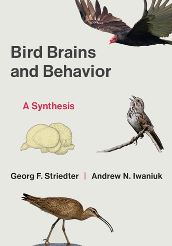 Bird Brains And Behavior Georg F Striedter Andrew N Iwaniuk