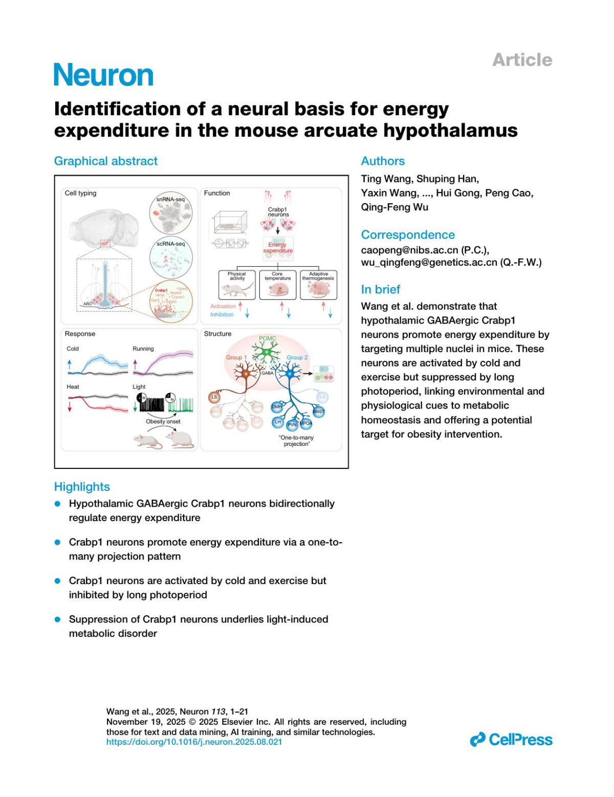 Identification Of A Neural Basis For Energyexpenditure In The Mouse Arcuate Hypothalamus Ting Wang Shuping Han Yaxin Wang Yaning Li Yuxiao Li Zhifang Xing Shuangfeng Zhang Yu Xia Feipeng Zhu Zhenhua Chen Yu Zheng Li Jingjing Wang Mingrui Xu Qinghua Liu Man Jiang Xiaohong Xu Xiangning Li Hui Gong Peng