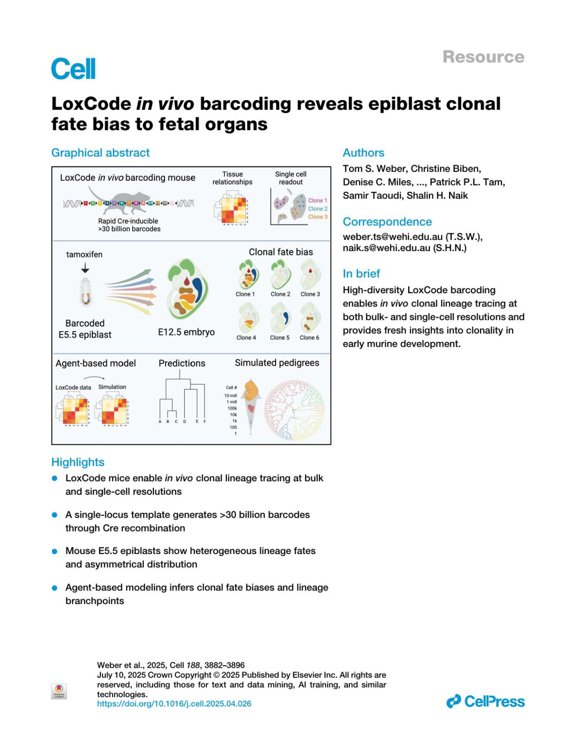 Loxcode In Vivo Barcoding Reveals Epiblast Clonal Fate Bias To Fetal Organs Tom S Weber Christine Biben Denise C Miles Stefan P Glaser Sara Tomei Chengyu Lin Andrew Kueh Martin Pal Stephen Zhang Patrick Pl Tam Samir Taoudi Shalin H Naik