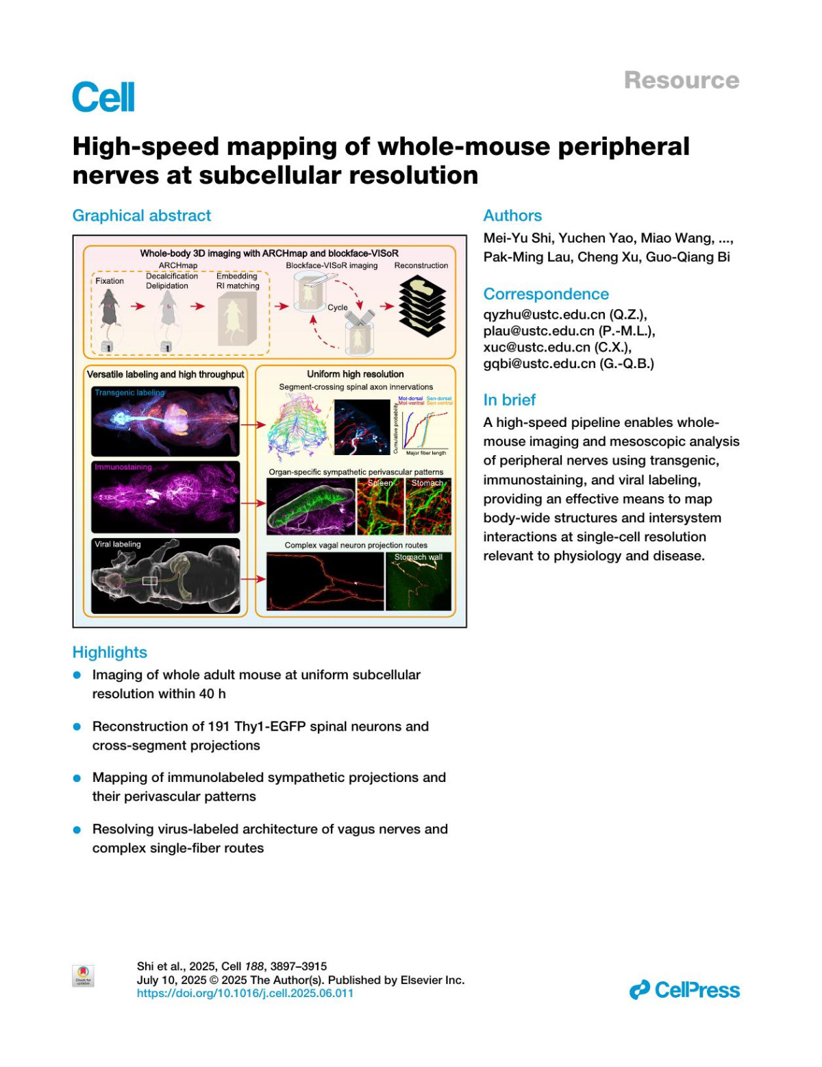 Highspeed Mapping Of Wholemouse Peripheral Nerves At Subcellular Resolution Meiyu Shi Yuchen Yao Miao Wang Qi Yang Lufeng Ding Rui Li Yuanyuan Li Haimeng Huang Chaoyu Yang Zhao Zhou Zhenxiang Zhu Pengjie Wen Fangling Dai Xiaohui Zeng Keming Zhang Yuhong Guo Zian Sun Huanhuan Xia Zhenhua