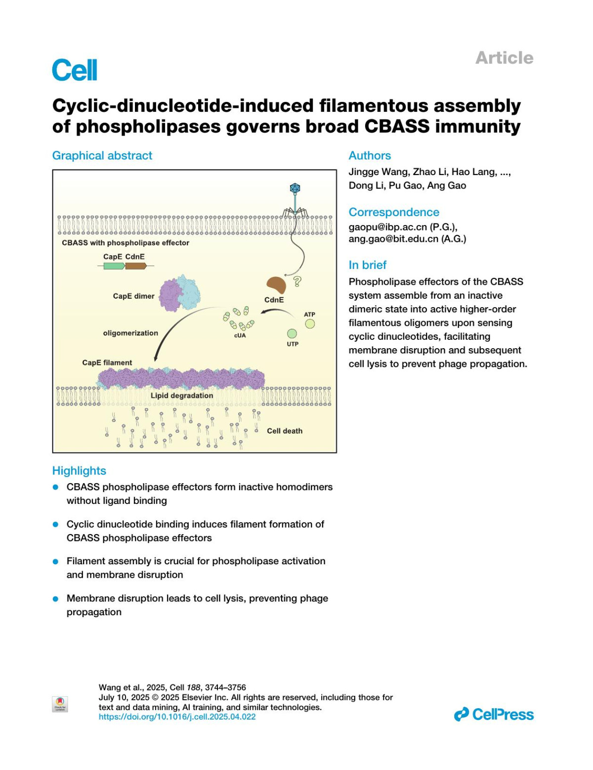 Cyclicdinucleotideinduced Filamentous Assembly Of Phospholipases Governs Broad Cbass Immunity Jingge Wang Zhao Li Hao Lang Wenfeng Fu Yina Gao Sen Yin Panpan Sun Zhaolong Li Jiafeng Huang Songqing Liu Yun Zhu Fei Sun Dong Li Pu Gao Ang Gao