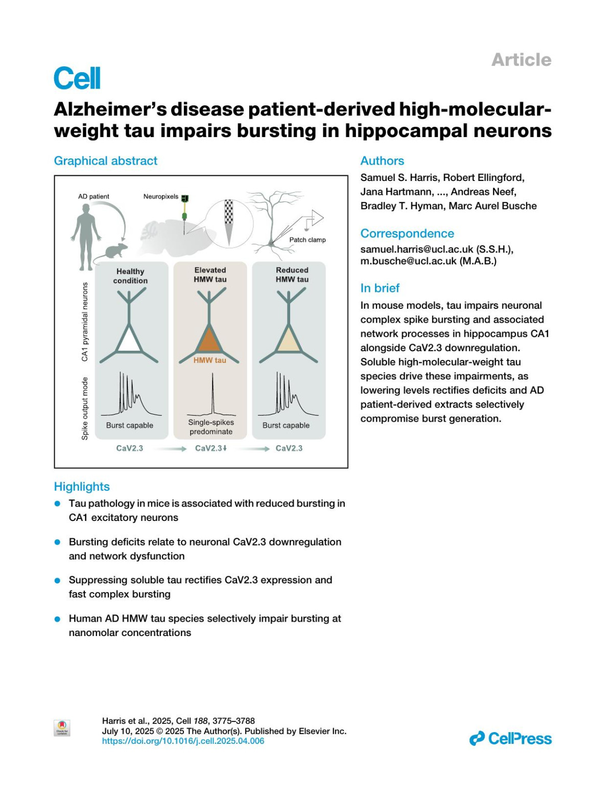 Alzheimers Disease Patientderived Highmolecularweight Tau Impairs Bursting In Hippocampal Neurons Samuel S Harris Robert Ellingford Jana Hartmann Debanjan Dasgupta Marten Kehring Rikesh M Rajani David Graykowski Noé Quittot Dhanush Sivasankaran Caitlin Commins Zhanyun Fan Suraya A Bond Fred Wolf David Dupret Raymond