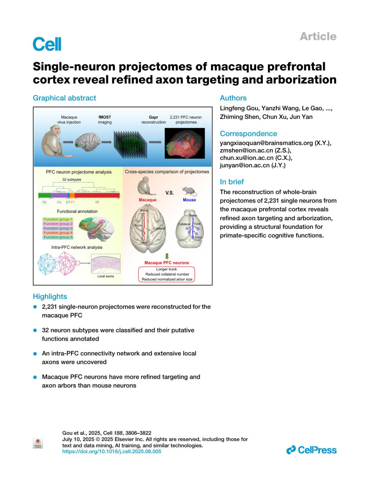 Singleneuron Projectomes Of Macaque Prefrontal Cortex Reveal Refined Axon Targeting And Arborization Lingfeng Gou Yanzhi Wang Le Gao Sang Liu Mingli Wang Qinwen Chai Jiao Fang Lijie Zhan Xiaowen Shen Tao Jiang Wenqiang Ren Miao Ren Xueyan Jia Chi Xiao Anan Li Xiangning Li Qingming Luo Gouki Okazawa Tianming Yang
