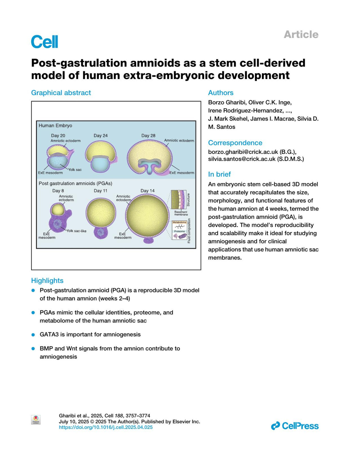 Postgastrulation Amnioids As A Stem Cellderived Model Of Human Extraembryonic Development Borzo Gharibi Oliver Ck Inge Irene Rodriguezhernandez Paul C Driscoll Christelle Dubois Ming Jiang Michael Howell J Mark Skehel James I Macrae Silvia Dm Santos