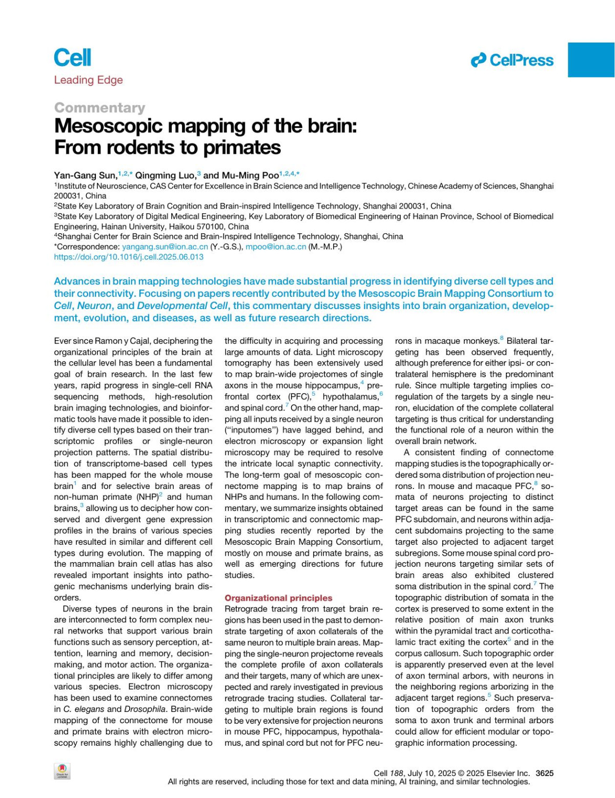 Mesoscopic Mapping Of The Brain From Rodents To Primates Yangang Sun Qingming Luo Muming Poo