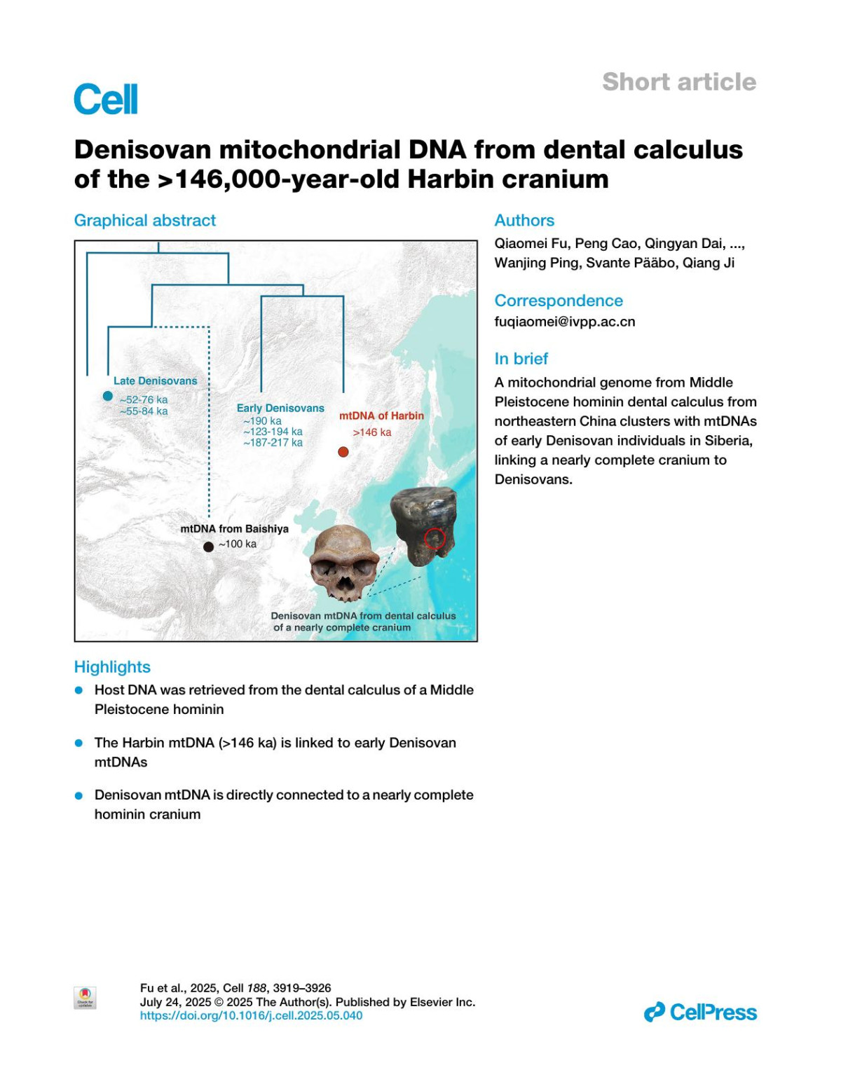 Denisovan Mitochondrial Dna From Dental Calculus Of The 146000yearold Harbin Cranium Qiaomei Fu Peng Cao Qingyan Dai E Andrew Bennett Xiaotian Feng Melinda A Yang Wanjing Ping Svante Pääbo Qiang Ji