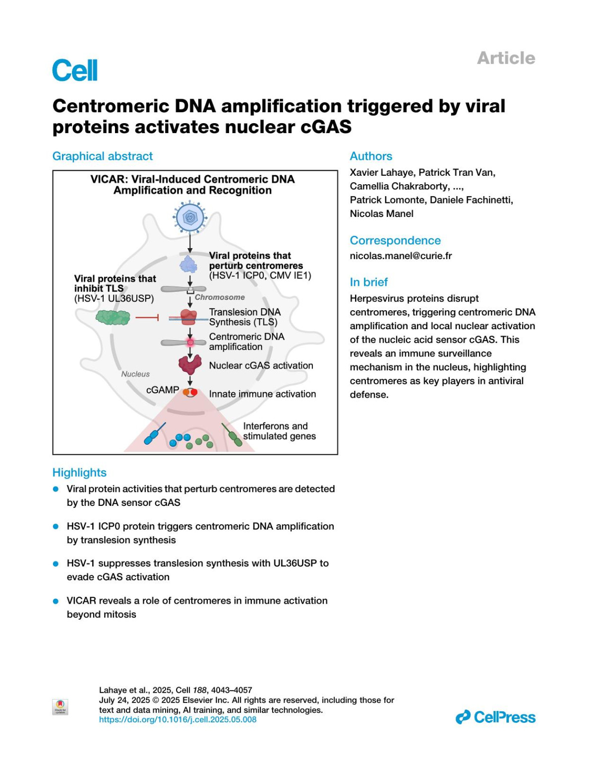 Centromeric Dna Amplification Triggered By Viral Proteins Activates Nuclear Cgas Xavier Lahaye Patrick Tran Van Camellia Chakraborty Anna Shmakova Ngoc Tran Bich Cao Hermine Ferran Ouardia Aitmohamed Mathieu Maurin Joshua J Waterfall Benedikt B Kaufer Patrick Fischer Thomas Hennig Lars Dölken Patrick