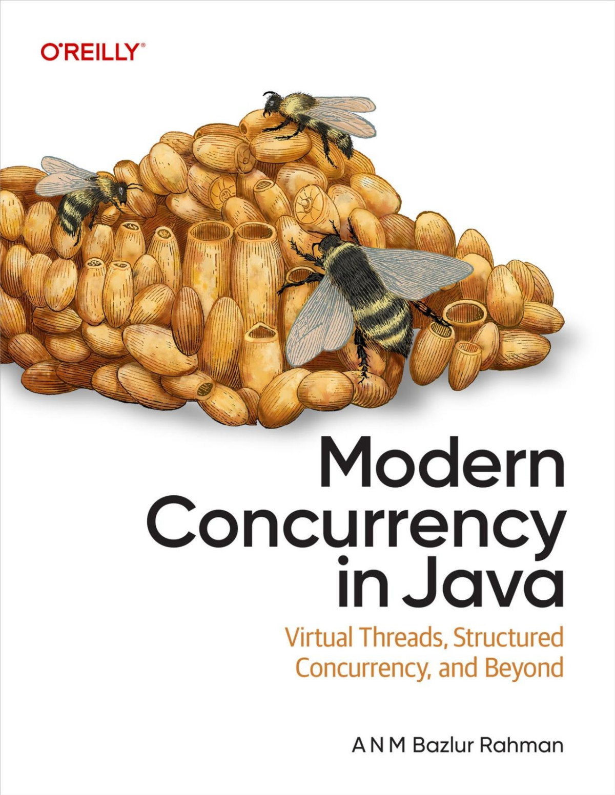 Modern Concurrency In Java Converted A N M Bazlur Rahman