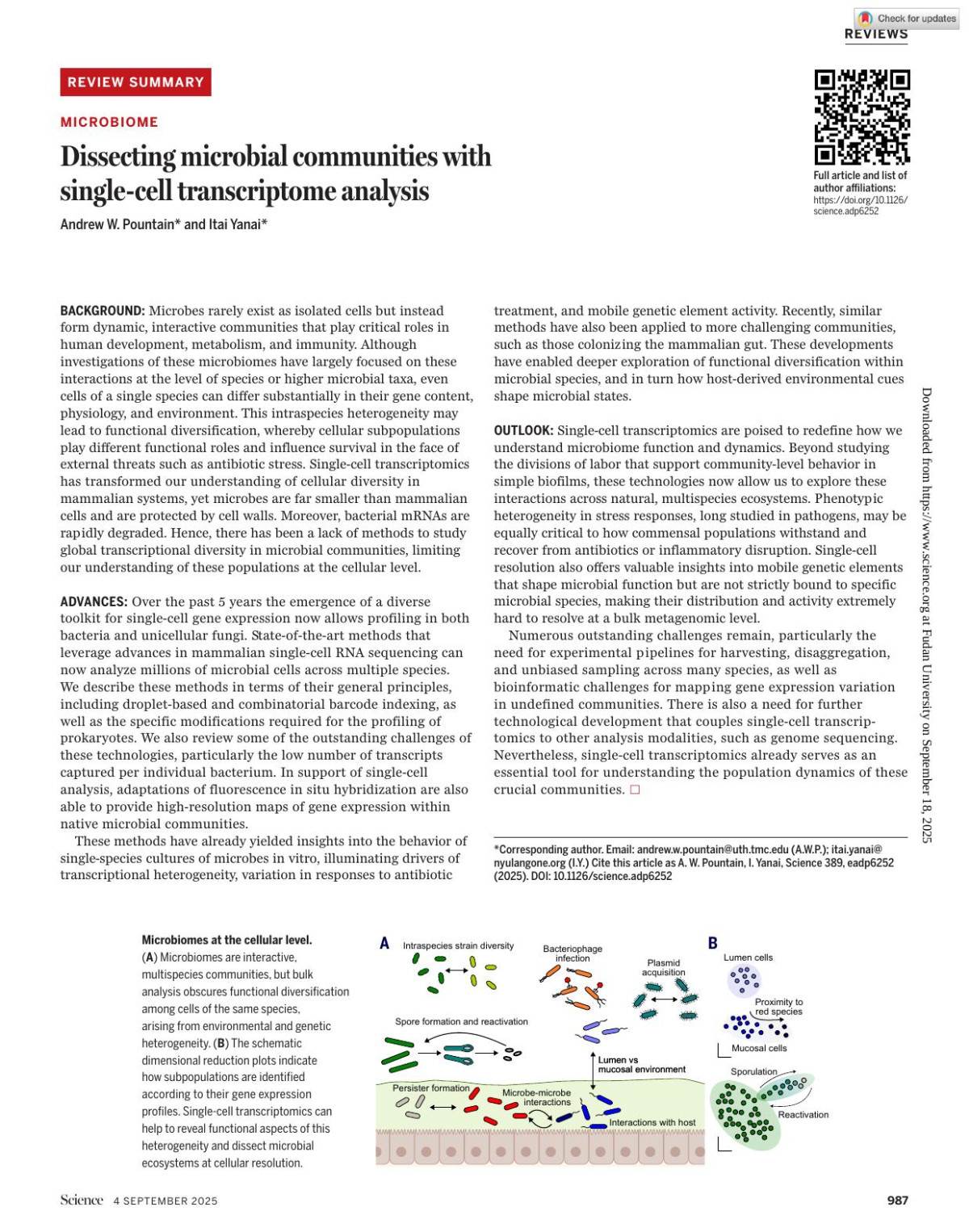 Dissecting Microbial Communities With Singlecell Transcriptome Analysis Andrew W Pountain