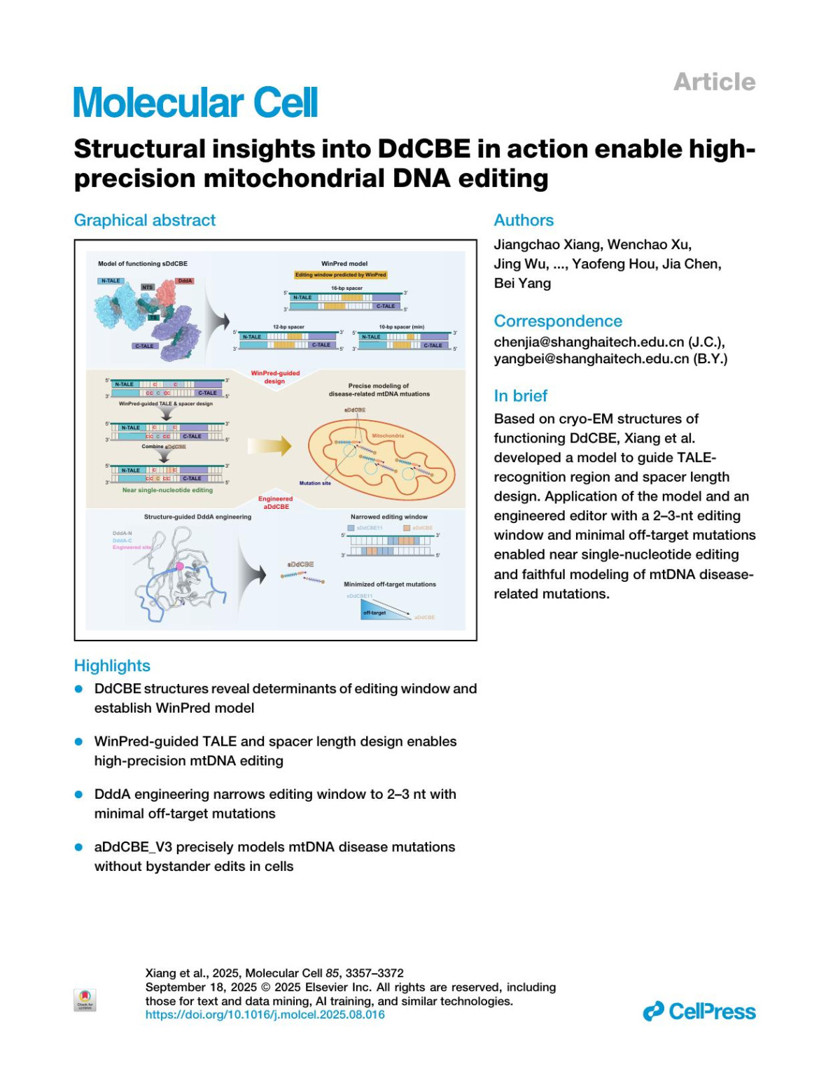 Structural Insights Into Ddcbe In Action Enable Highprecision Mitochondrial Dna Editing Jiangchao Xiang
